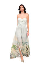 TROPICAL MUSE DRESS
