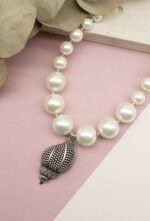PEARL SHELL - Image 4