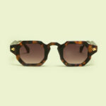 “SOLSTICE” TORTOISE