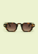 “SOLSTICE” TORTOISE