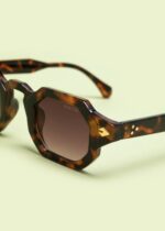 “SOLSTICE” TORTOISE - Image 3